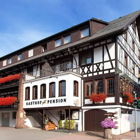 Landgasthof Hotel Hirsch-3